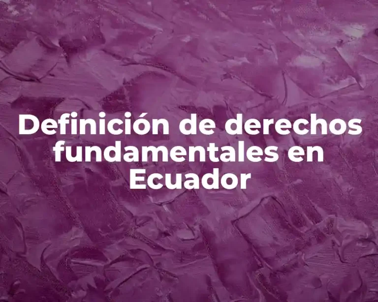 Definición de derechos fundamentales en Ecuador