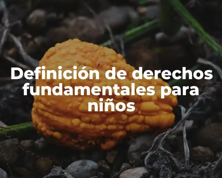 Definición de derechos fundamentales para niños