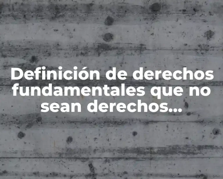 Definición de derechos fundamentales que no sean derechos humanos
