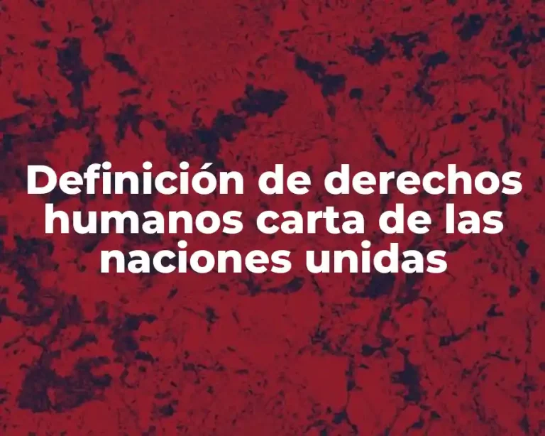 Definición de derechos humanos carta de las naciones unidas