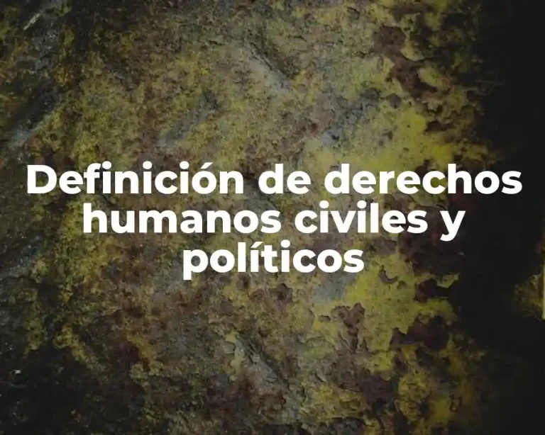 Definición de derechos humanos civiles y políticos