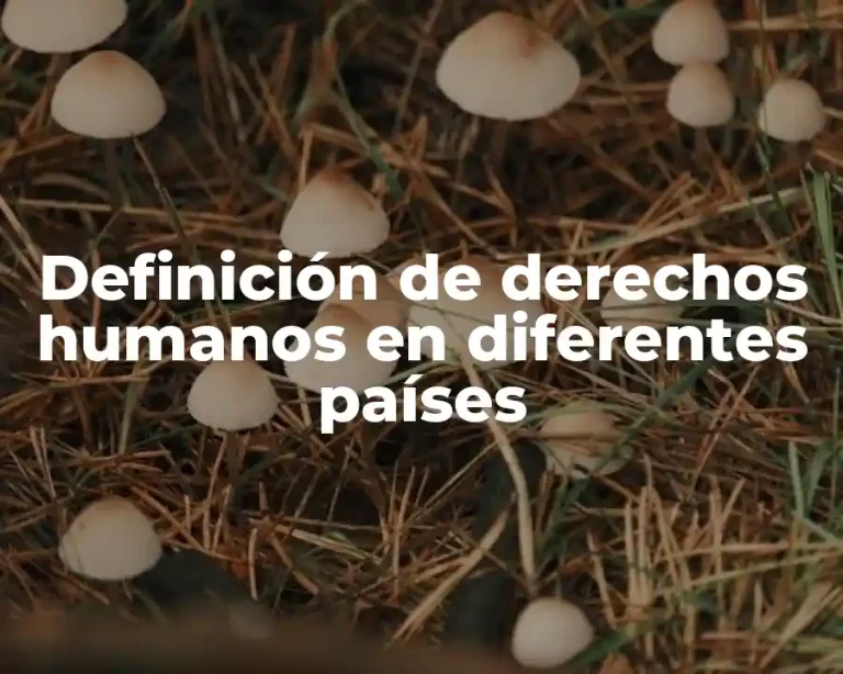 Definición de derechos humanos en diferentes países