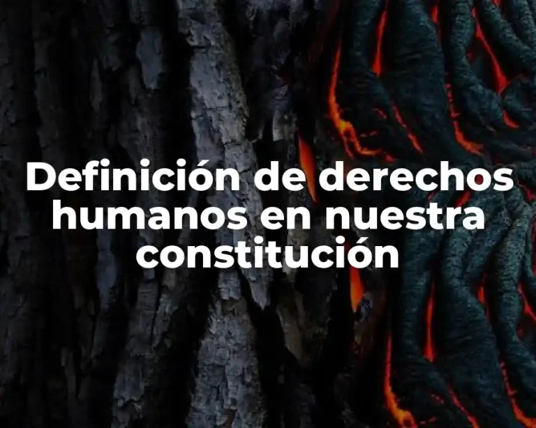 Definición de derechos humanos en nuestra constitución