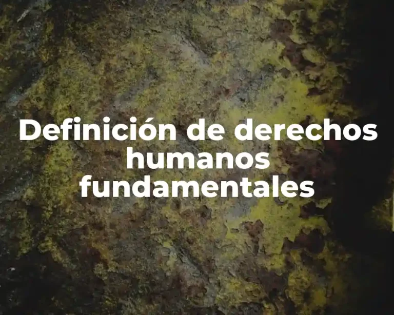 Definición de derechos humanos fundamentales