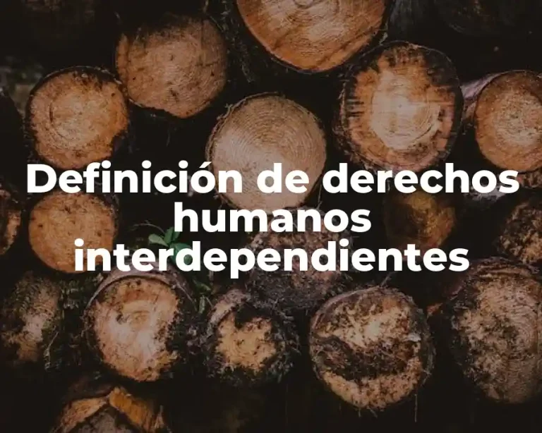 Definición de derechos humanos interdependientes