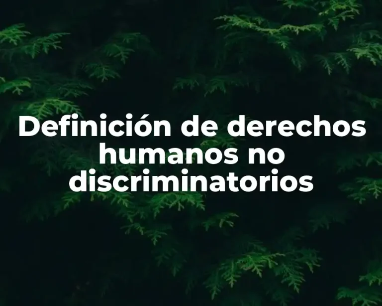 Definición de derechos humanos no discriminatorios