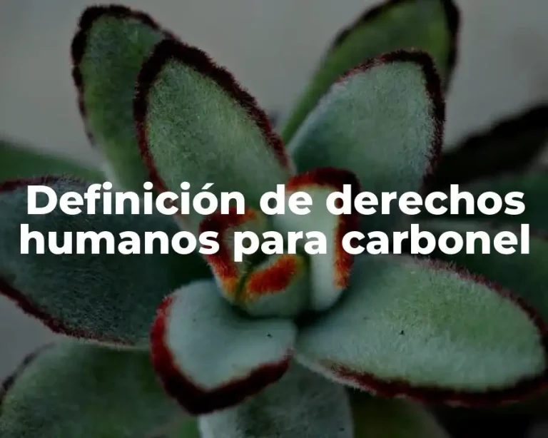 Definición de derechos humanos para carbonel
