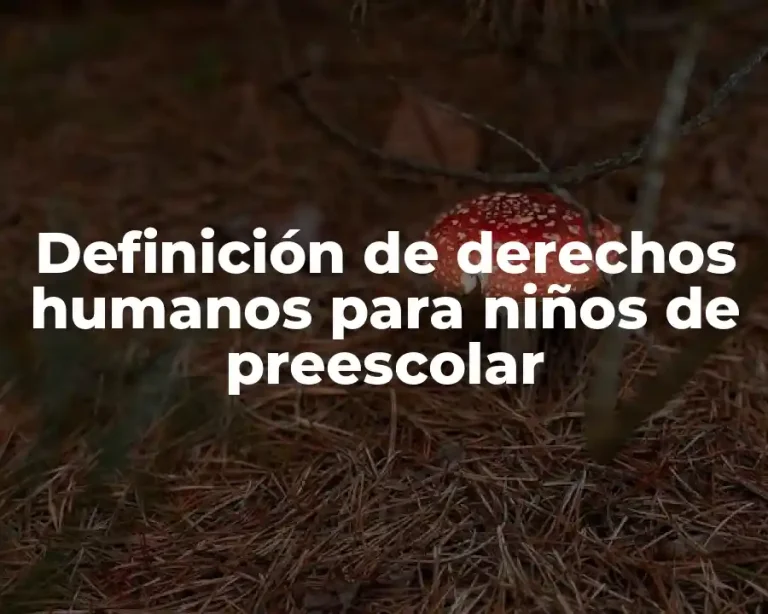 Definición de derechos humanos para niños de preescolar