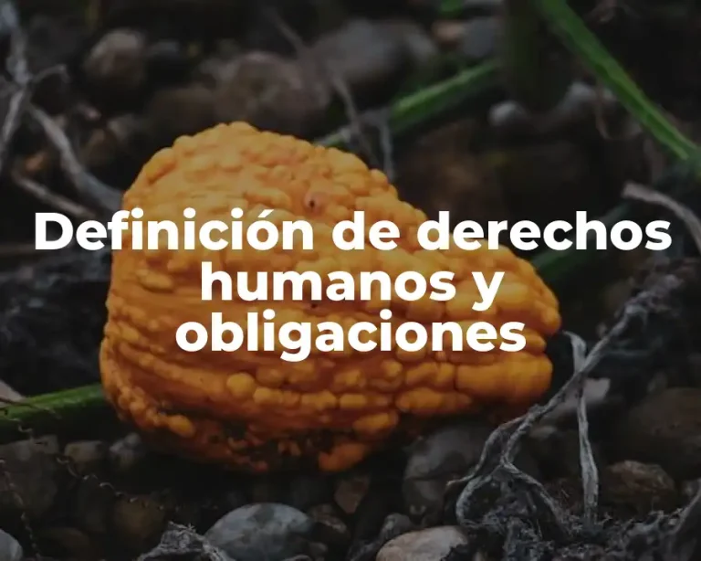 Definición de derechos humanos y obligaciones