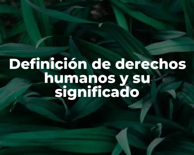 Definición de derechos humanos y su significado