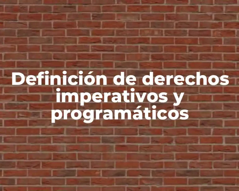 Definición de derechos imperativos y programáticos
