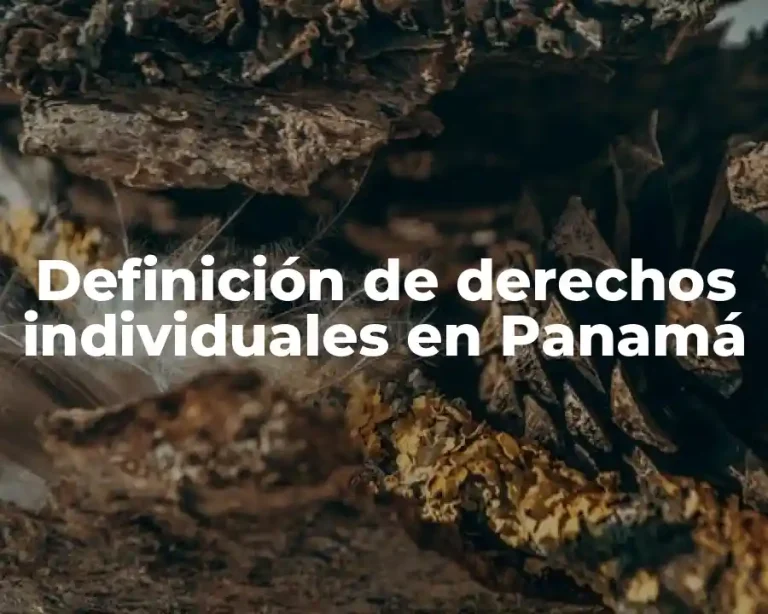 Definición de derechos individuales en Panamá