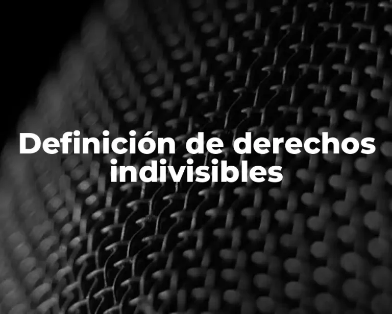 Definición de derechos indivisibles