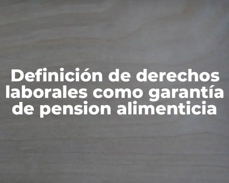 Definición de derechos laborales como garantía de pension alimenticia