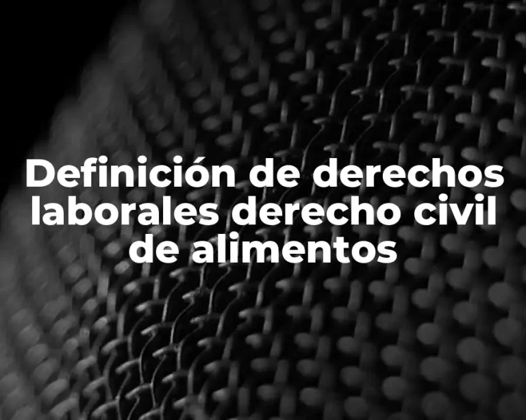 Definición de derechos laborales derecho civil de alimentos