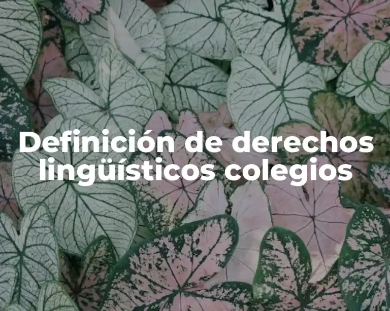 Definición de derechos lingüísticos colegios
