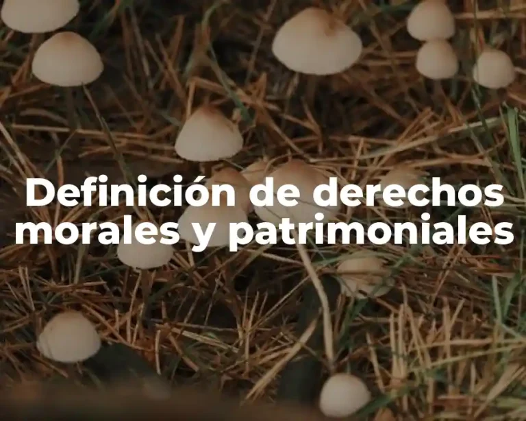 Definición de derechos morales y patrimoniales