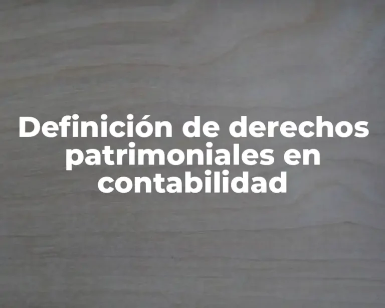 Definición de derechos patrimoniales en contabilidad