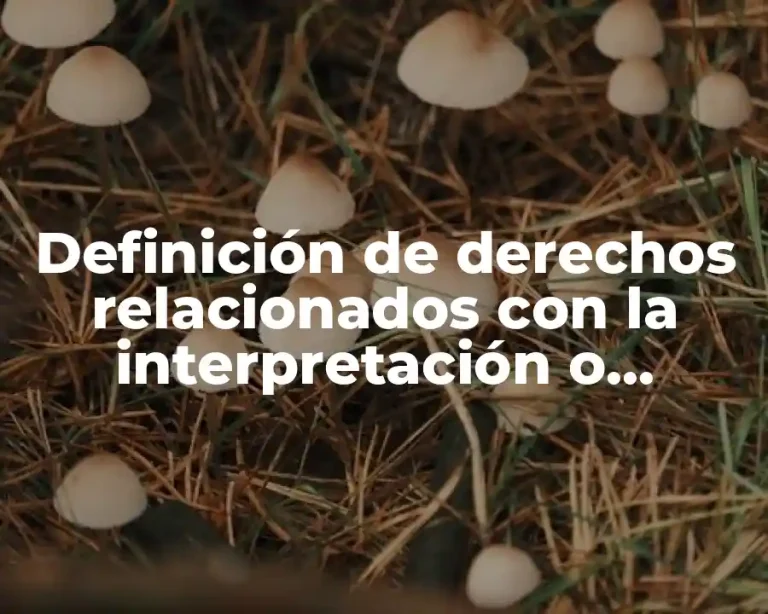 Definición de derechos relacionados con la interpretación o ejecución
