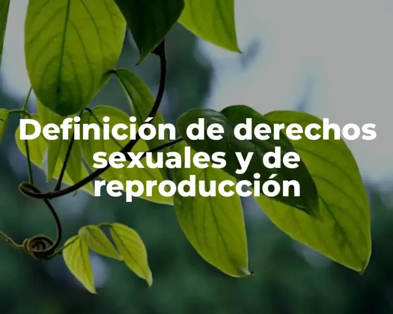 Definición de derechos sexuales y de reproducción