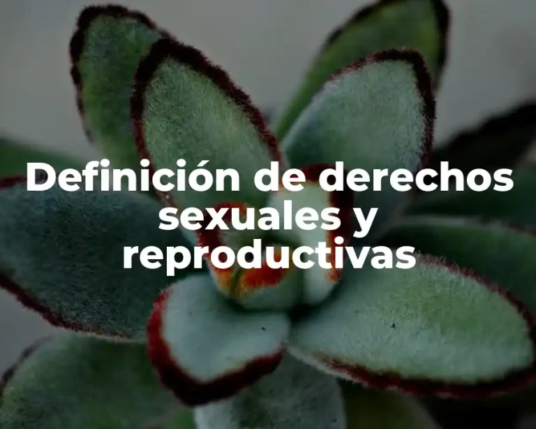 Definición de derechos sexuales y reproductivas