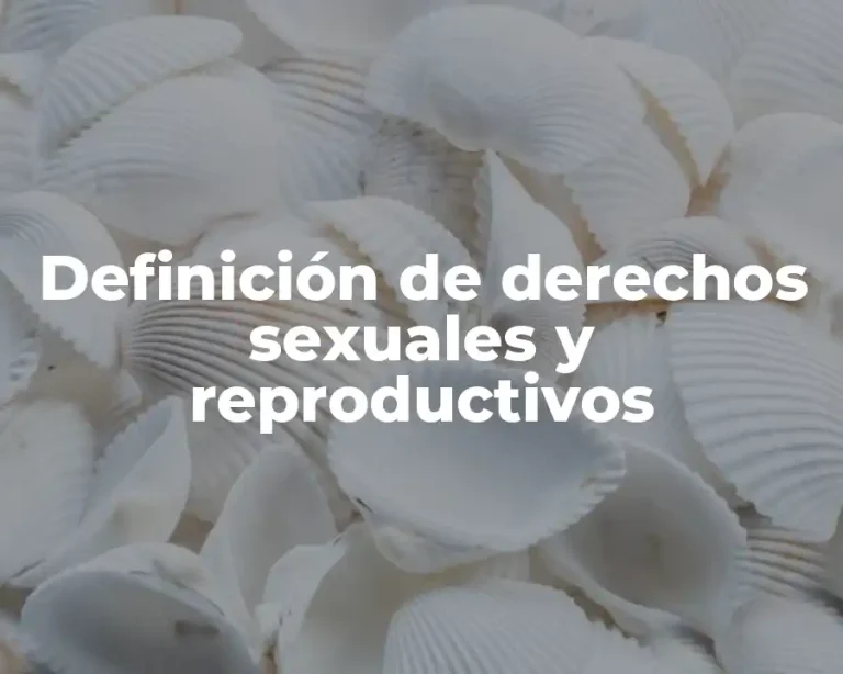 Definición de derechos sexuales y reproductivos
