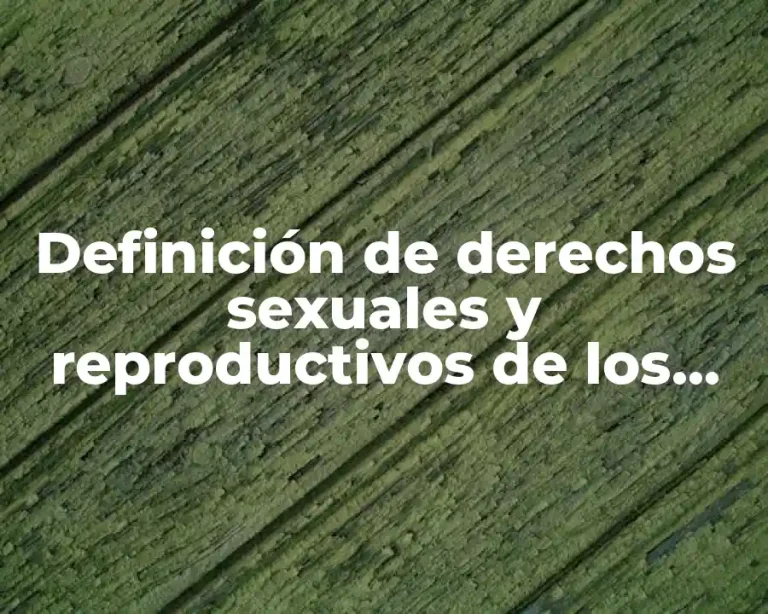 Definición de derechos sexuales y reproductivos de los jóvenes