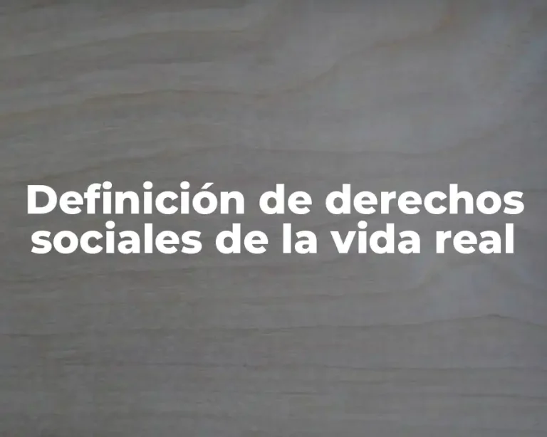 Definición de derechos sociales de la vida real