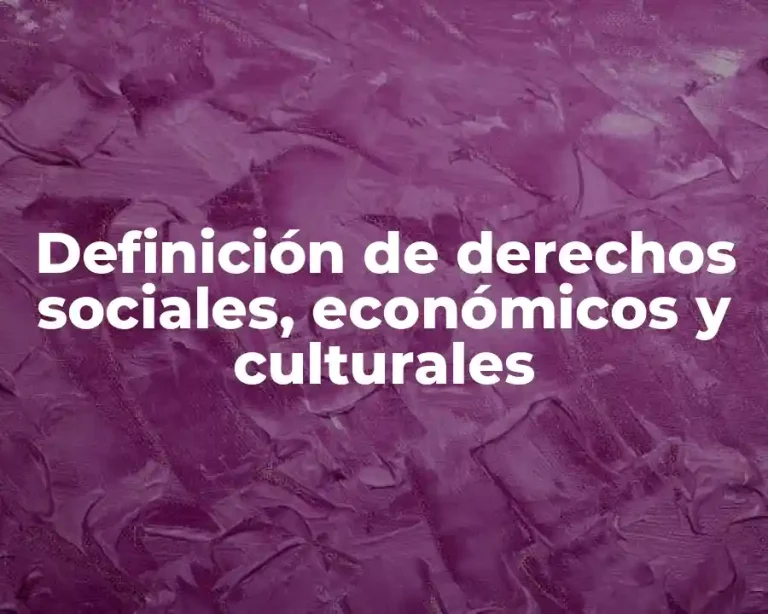 Definición de derechos sociales, económicos y culturales