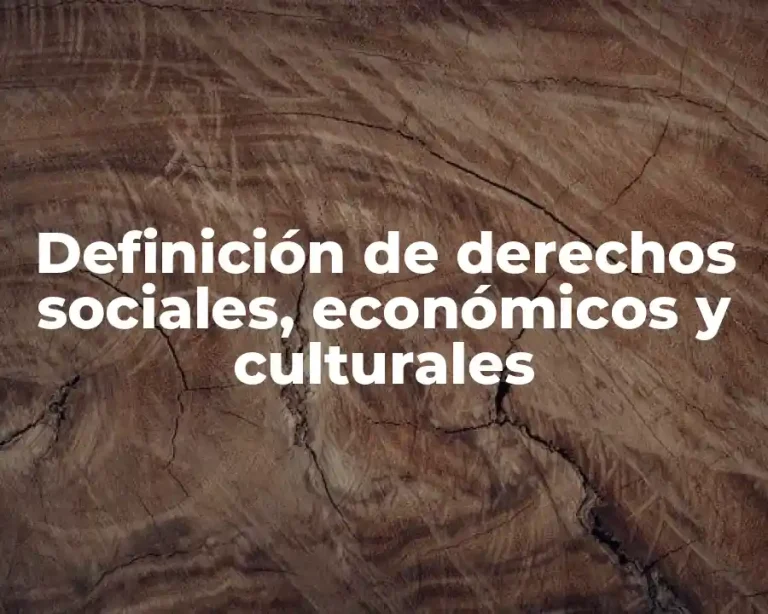 Definición de derechos sociales, económicos y culturales