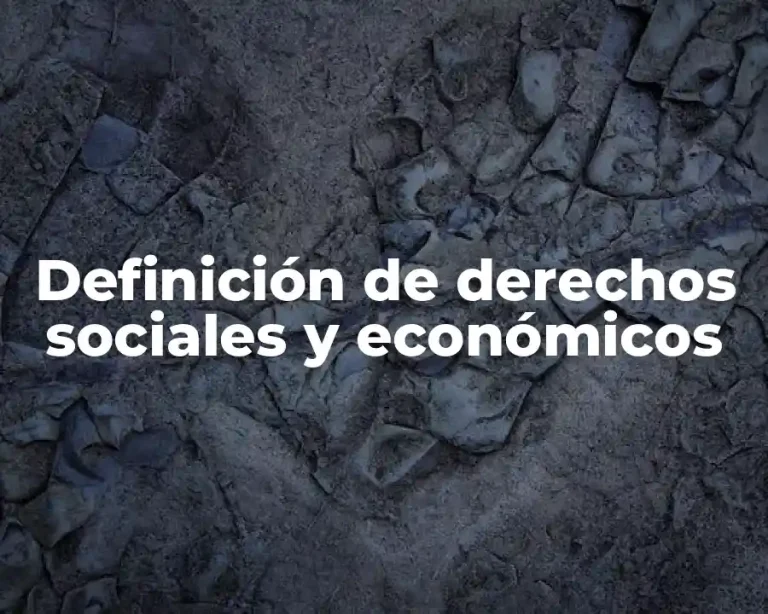 Definición de derechos sociales y económicos