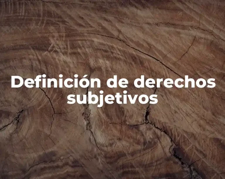 Definición de derechos subjetivos