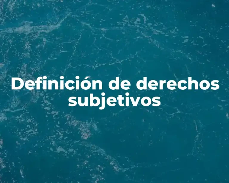 Definición de derechos subjetivos