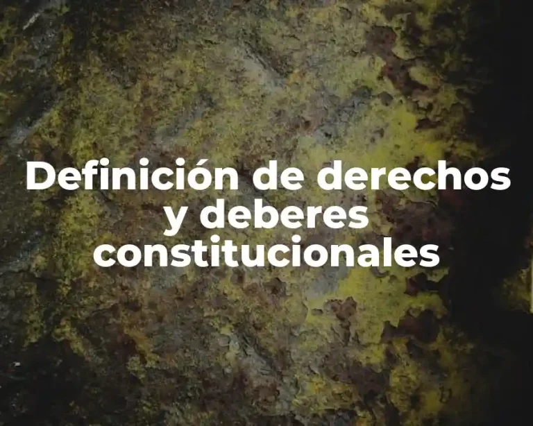 Definición de derechos y deberes constitucionales