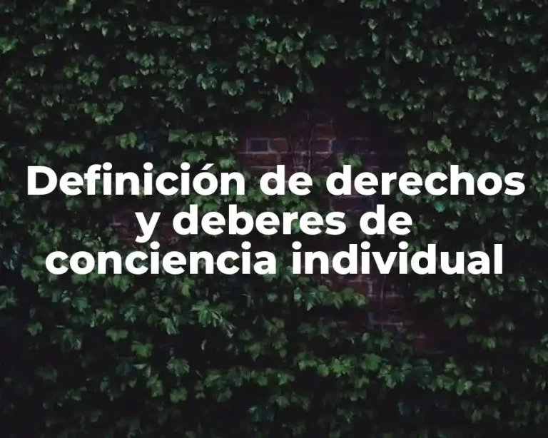 Definición de derechos y deberes de conciencia individual