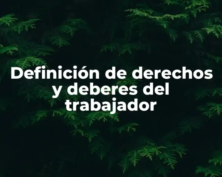 Definición de derechos y deberes del trabajador