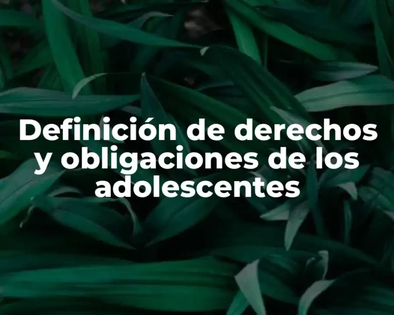 Definición de derechos y obligaciones de los adolescentes