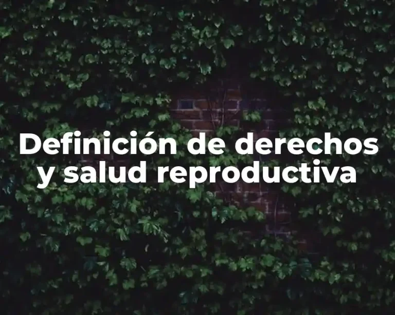 Definición de derechos y salud reproductiva