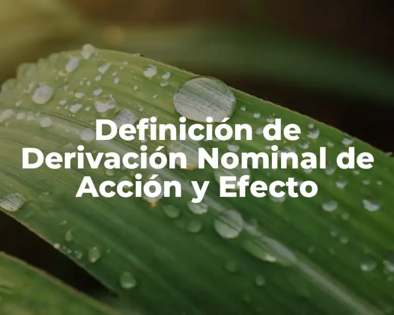 Definición de Derivación Nominal de Acción y Efecto