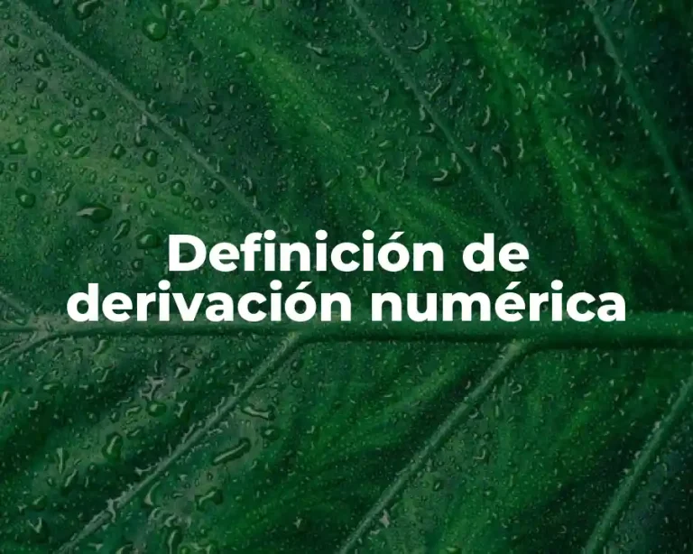 Definición de derivación numérica