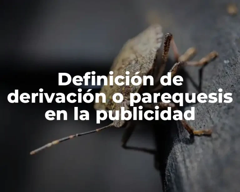 Definición de derivación o parequesis en la publicidad