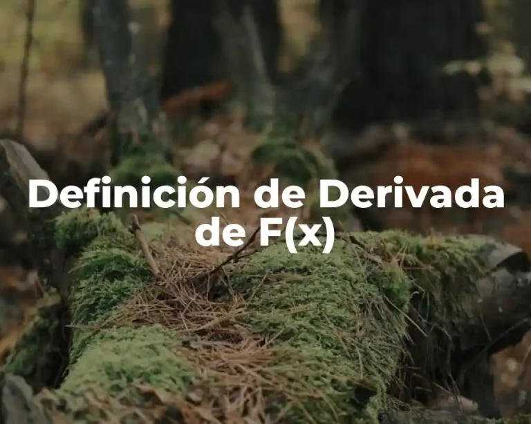 Definición de Derivada de F(x)