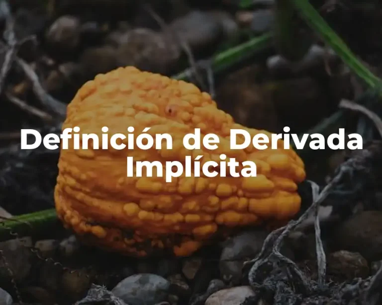 Definición de Derivada Implícita