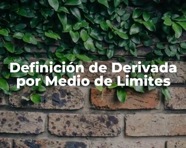 Definición de Derivada por Medio de Limites