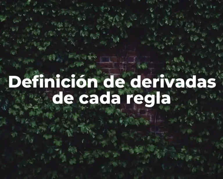 Definición de derivadas de cada regla