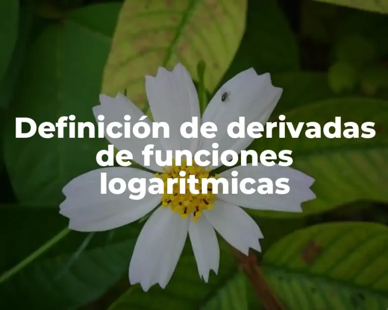 Definición de derivadas de funciones logaritmicas