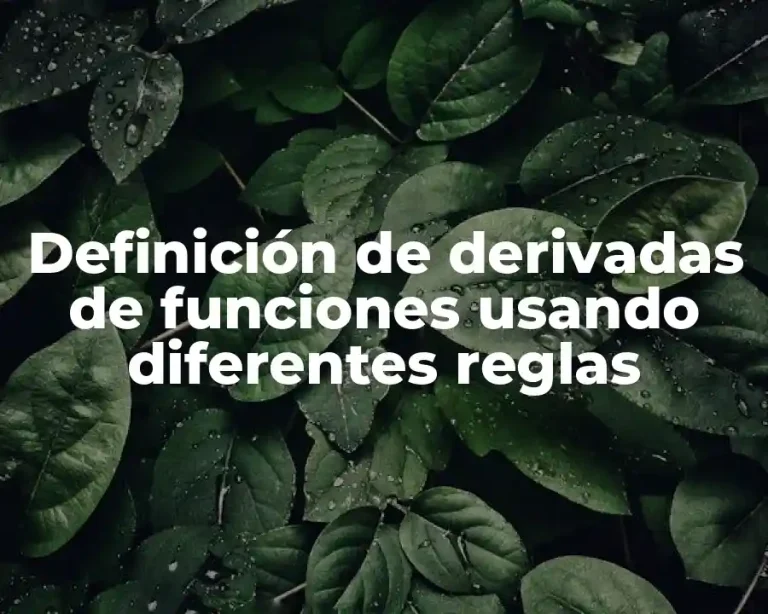 Definición de derivadas de funciones usando diferentes reglas