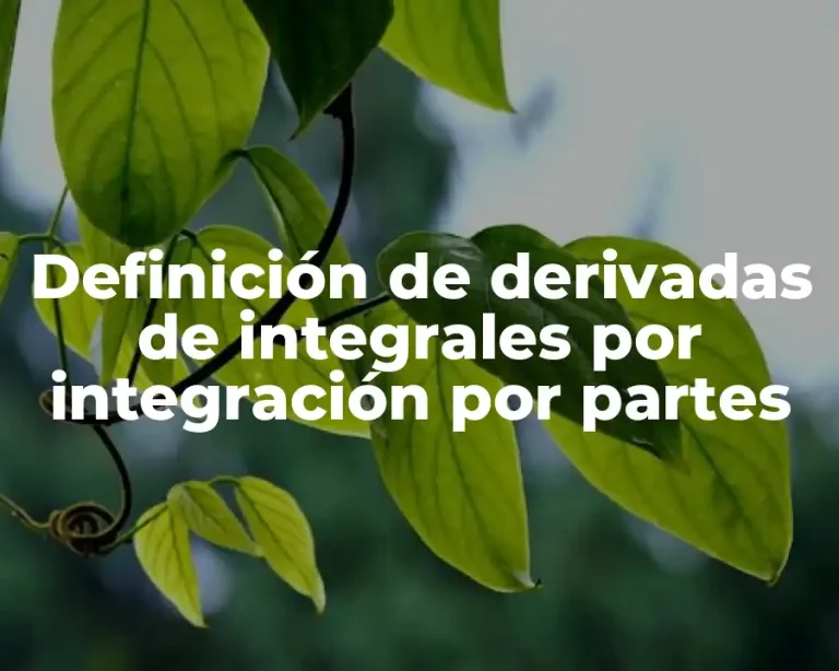 Definición de derivadas de integrales por integración por partes