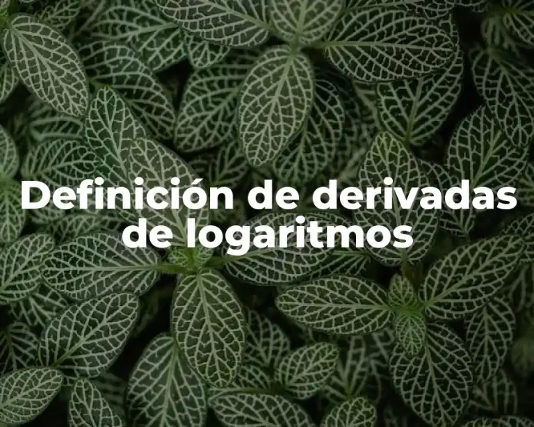 Definición de derivadas de logaritmos
