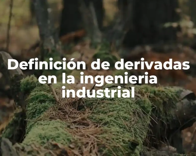 Definición de derivadas en la ingenieria industrial
